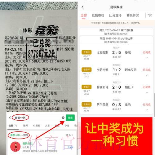 世界杯竞猜攻略：顶尖高手实战心得全面解析