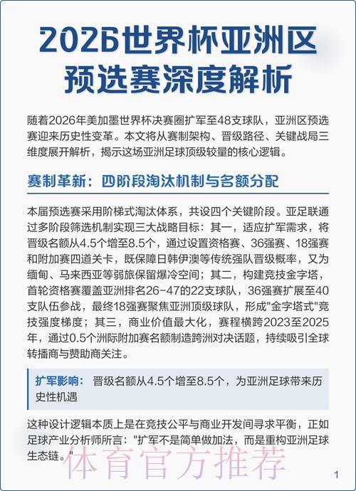 世界杯预选赛深度解析与赛果预测